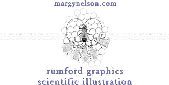 rumford graphics front page